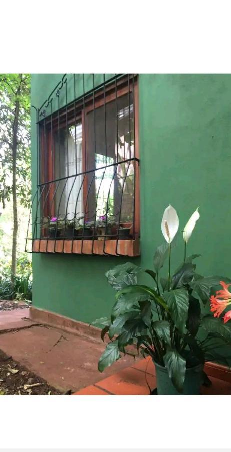 Jardin De Naipi Apartment Пуерто Игуасу Екстериор снимка